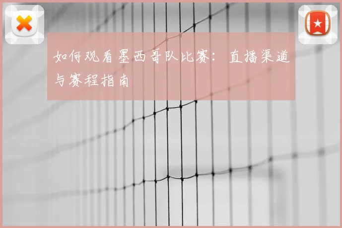 如何观看墨西哥队比赛：直播渠道与赛程指南